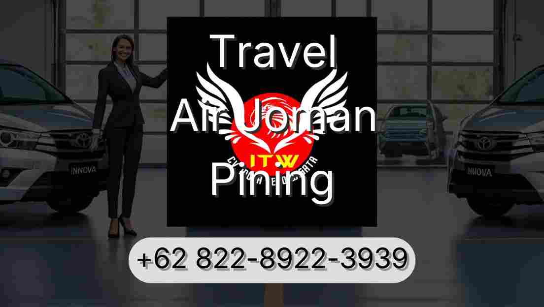 Travel Air Joman Pining