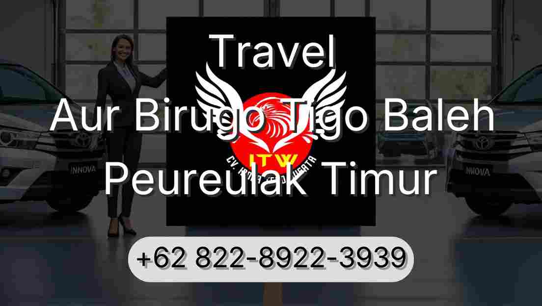 Travel Aur Birugo Tigo Baleh Peureulak Timur