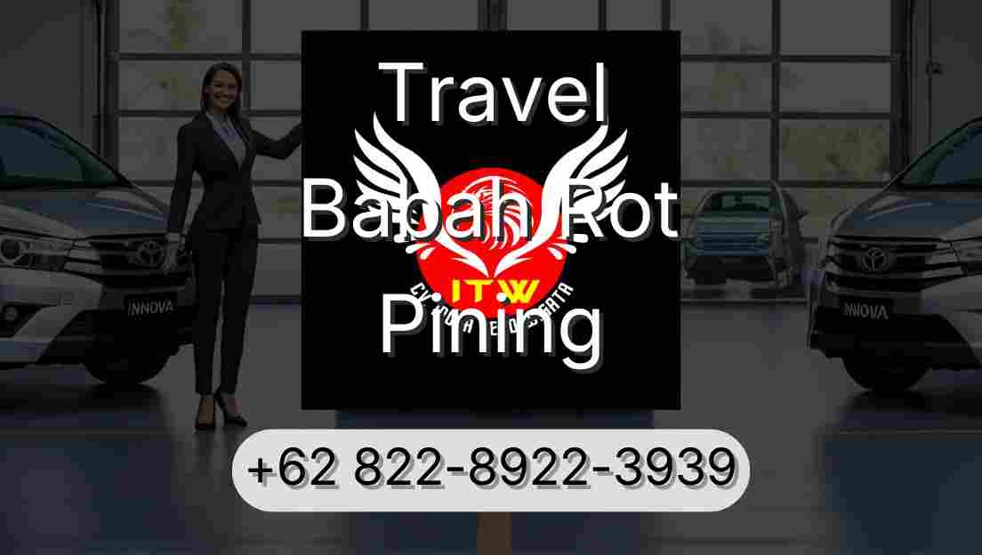 Travel Babah Rot Pining