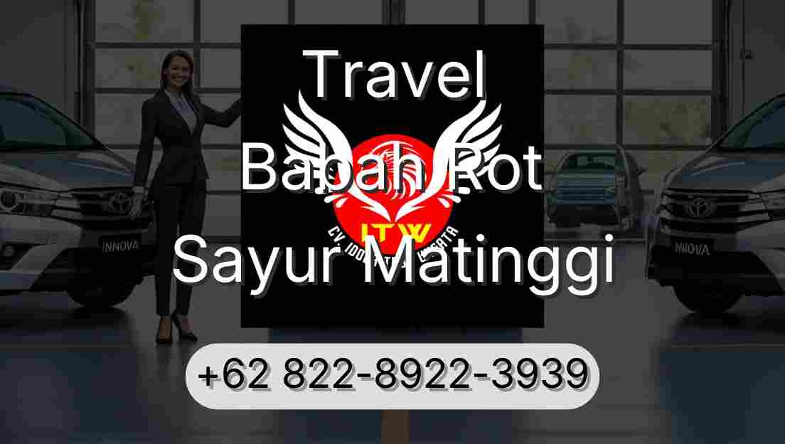 Travel Babah Rot Sayur Matinggi