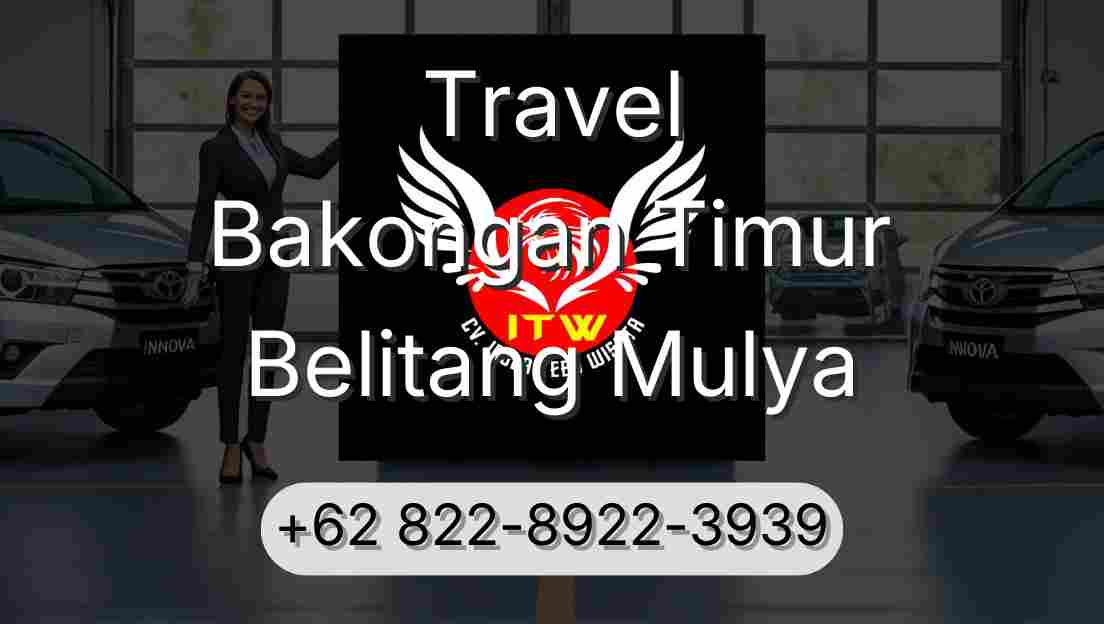 Travel Bakongan Timur Belitang Mulya