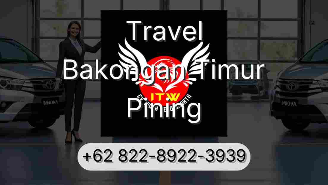Travel Bakongan Timur Pining