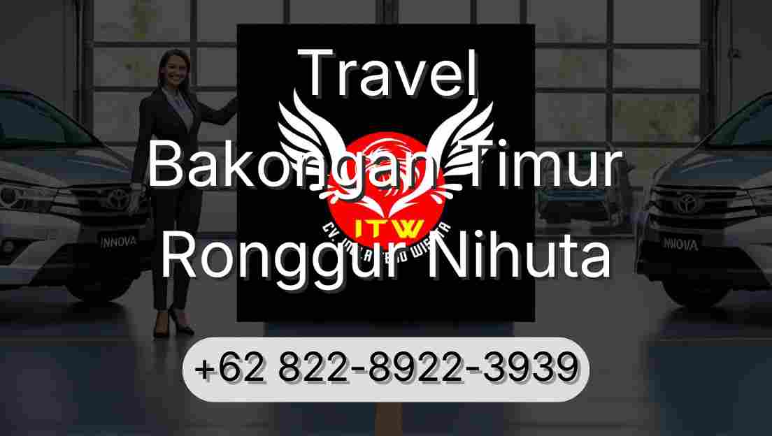 Travel Bakongan Timur Ronggur Nihuta