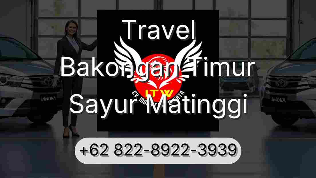 Travel Bakongan Timur Sayur Matinggi