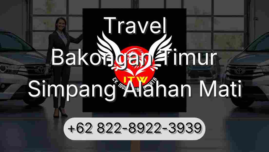 Travel Bakongan Timur Simpang Alahan Mati