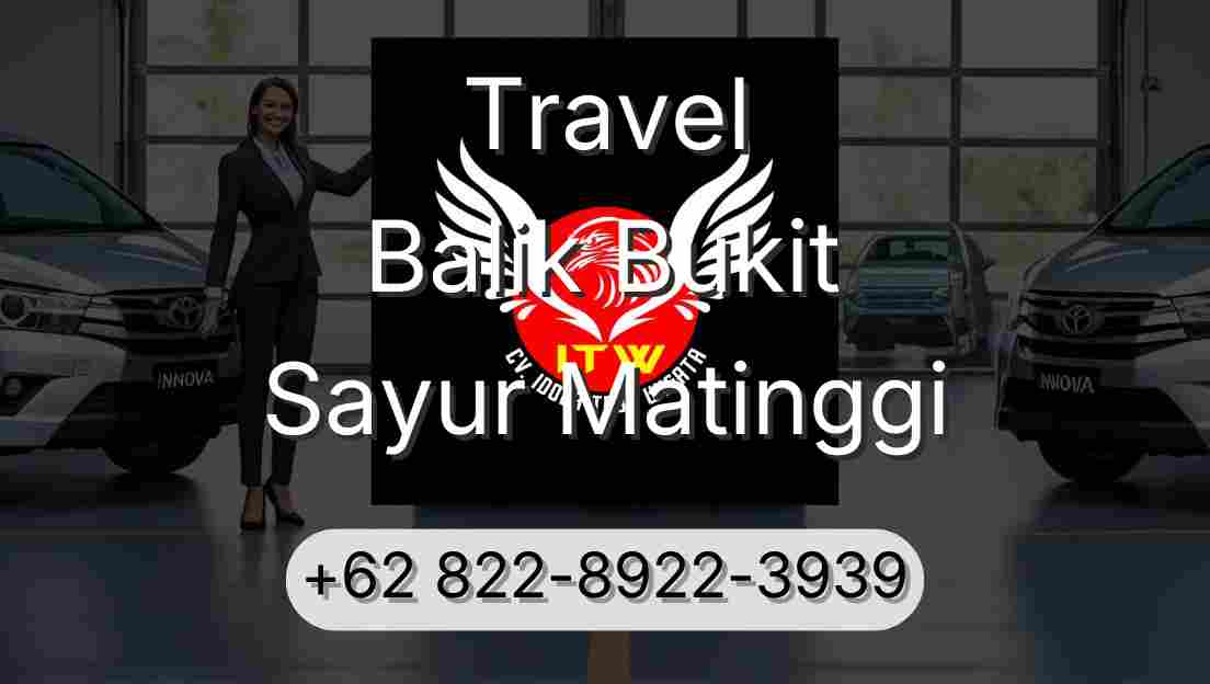Travel Balik Bukit Sayur Matinggi