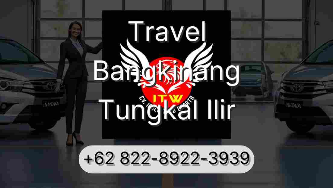 Travel Bangkinang Tungkal Ilir
