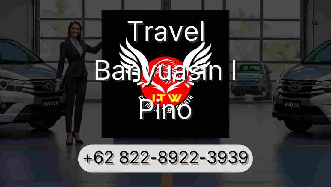 Travel Banyuasin I Pino