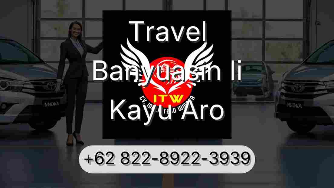 Travel Banyuasin Ii Kayu Aro