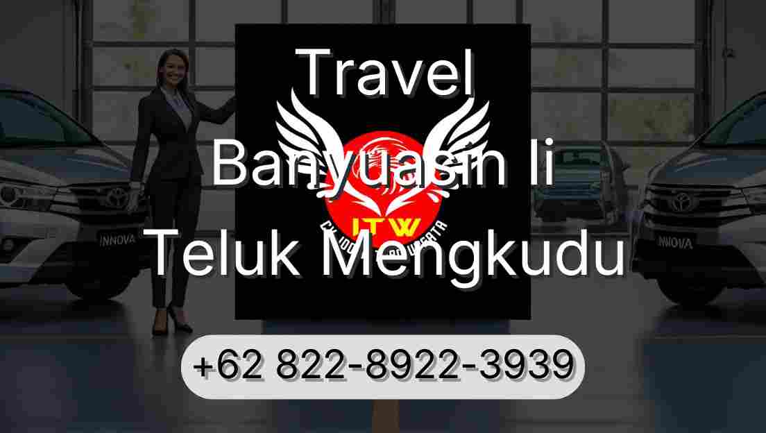 Travel Banyuasin Ii Teluk Mengkudu