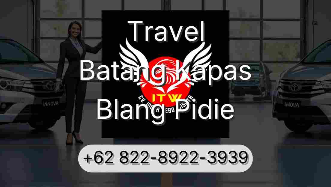 Travel Batang Kapas Blang Pidie