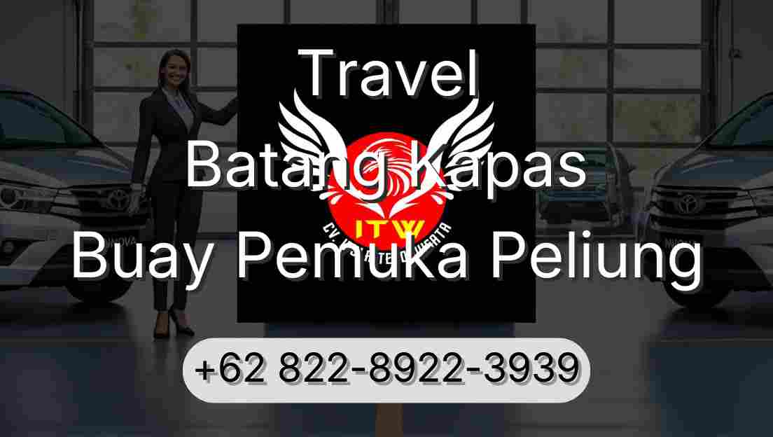 Travel Batang Kapas Buay Pemuka Peliung