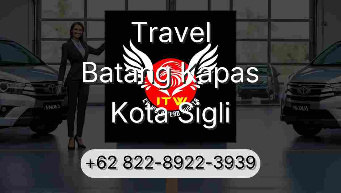 Travel Batang Kapas Kota Sigli