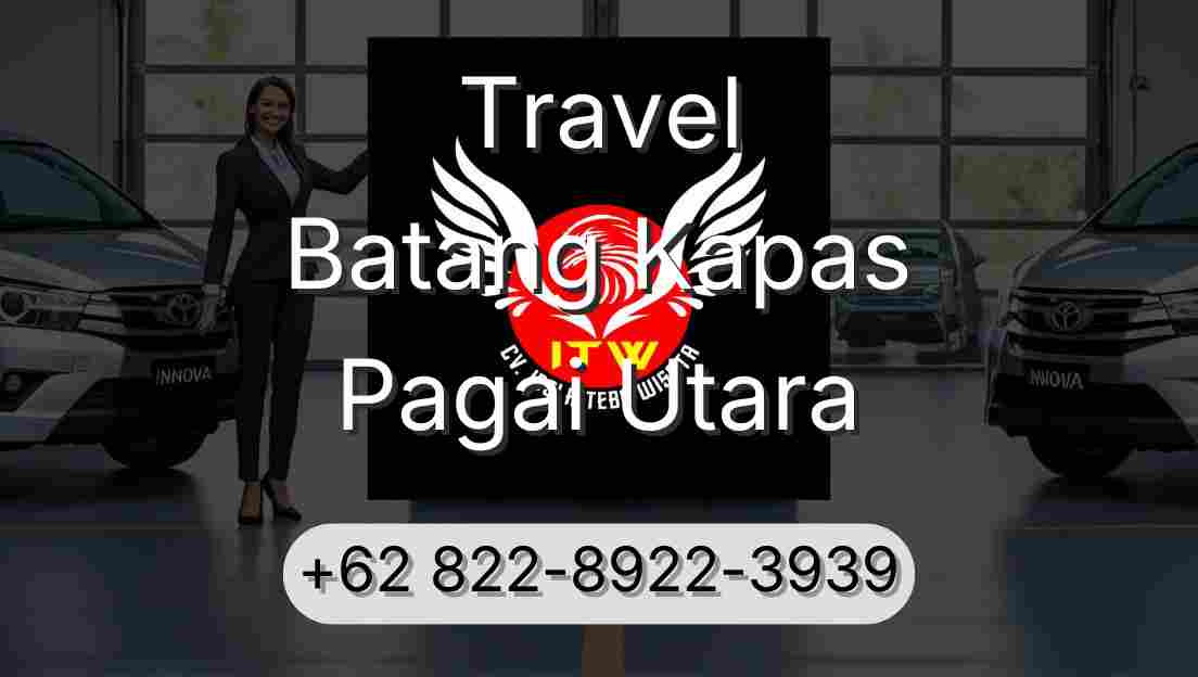 Travel Batang Kapas Pagai Utara