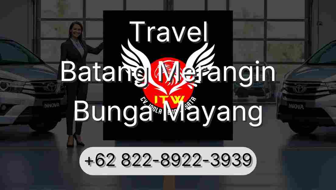 Travel Batang Merangin Bunga Mayang