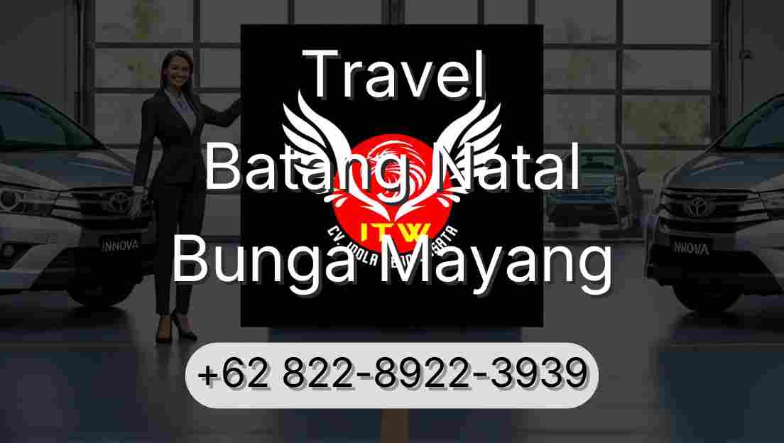 Travel Batang Natal Bunga Mayang