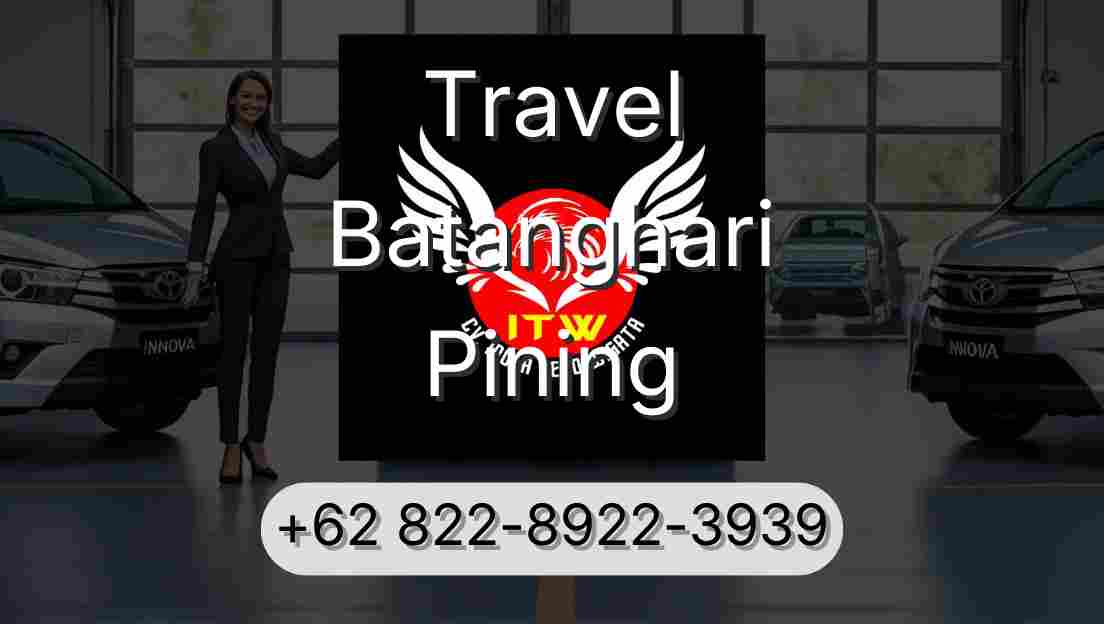 Travel Batanghari Pining