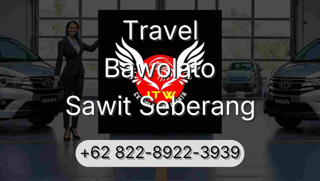 Travel Bawolato Sawit Seberang