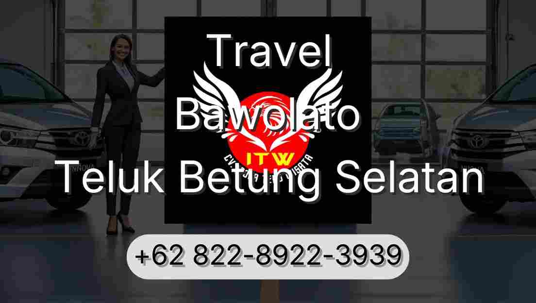 Travel Bawolato Teluk Betung Selatan