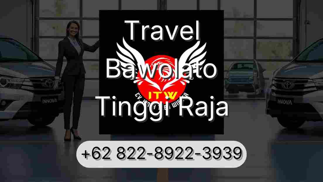 Travel Bawolato Tinggi Raja