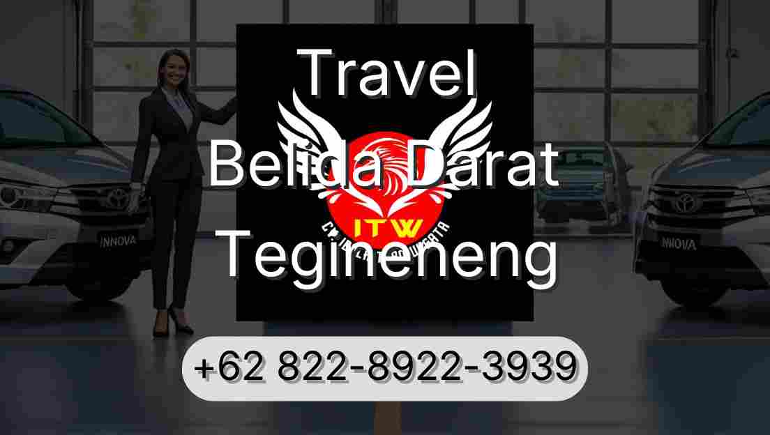 Travel Belida Darat Tegineneng