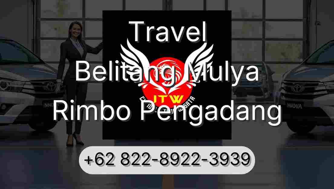 Travel Belitang Mulya Rimbo Pengadang