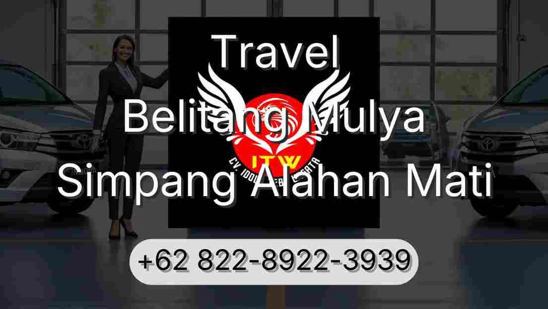 Travel Belitang Mulya Simpang Alahan Mati