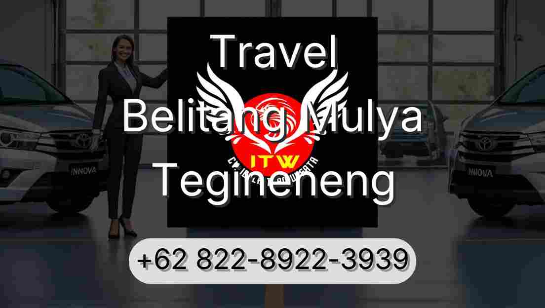 Travel Belitang Mulya Tegineneng
