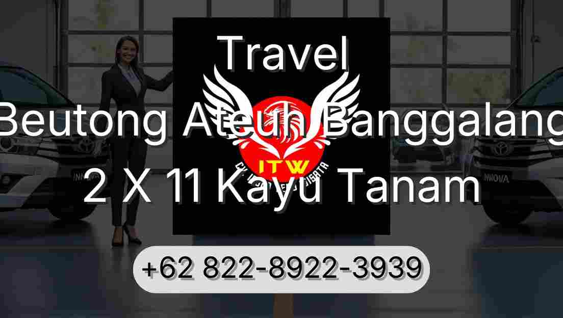 Travel Beutong Ateuh Banggalang 2 X 11 Kayu Tanam