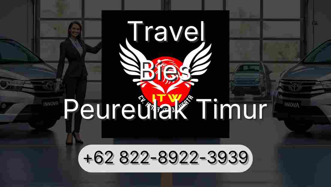 Travel Bies Peureulak Timur