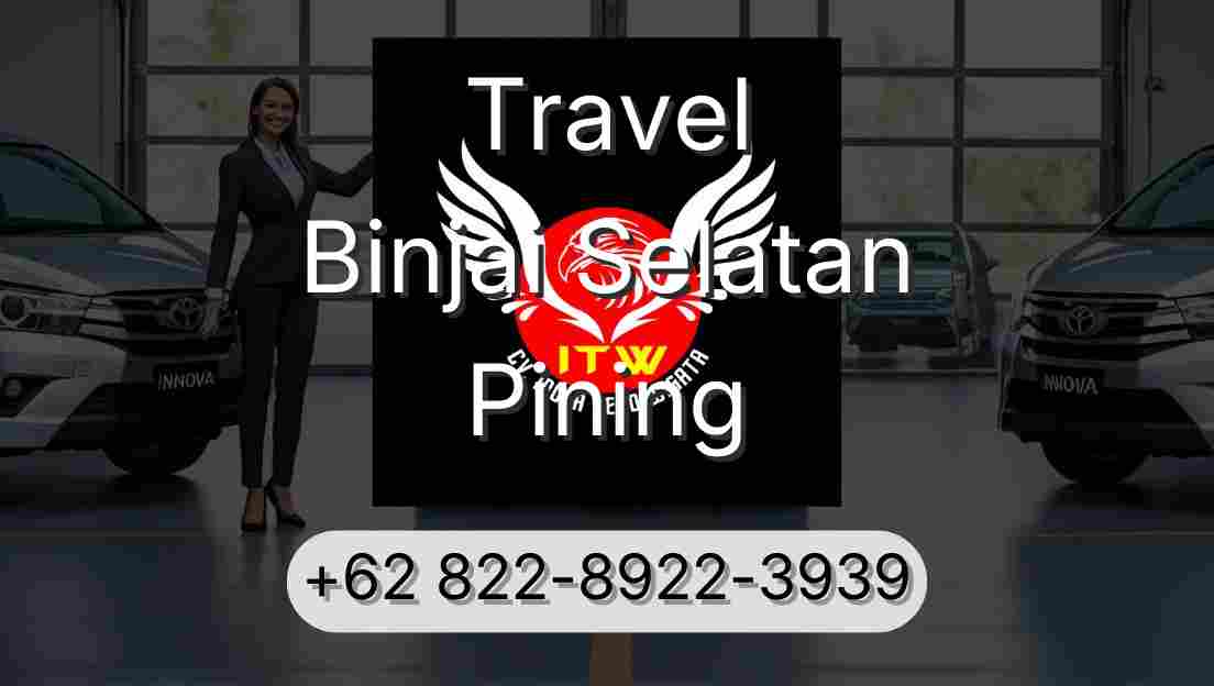 Travel Binjai Selatan Pining