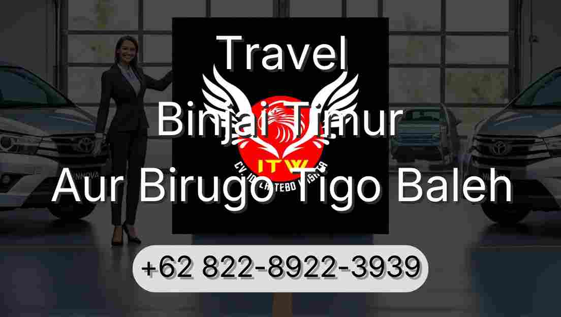 Travel Binjai Timur Aur Birugo Tigo Baleh
