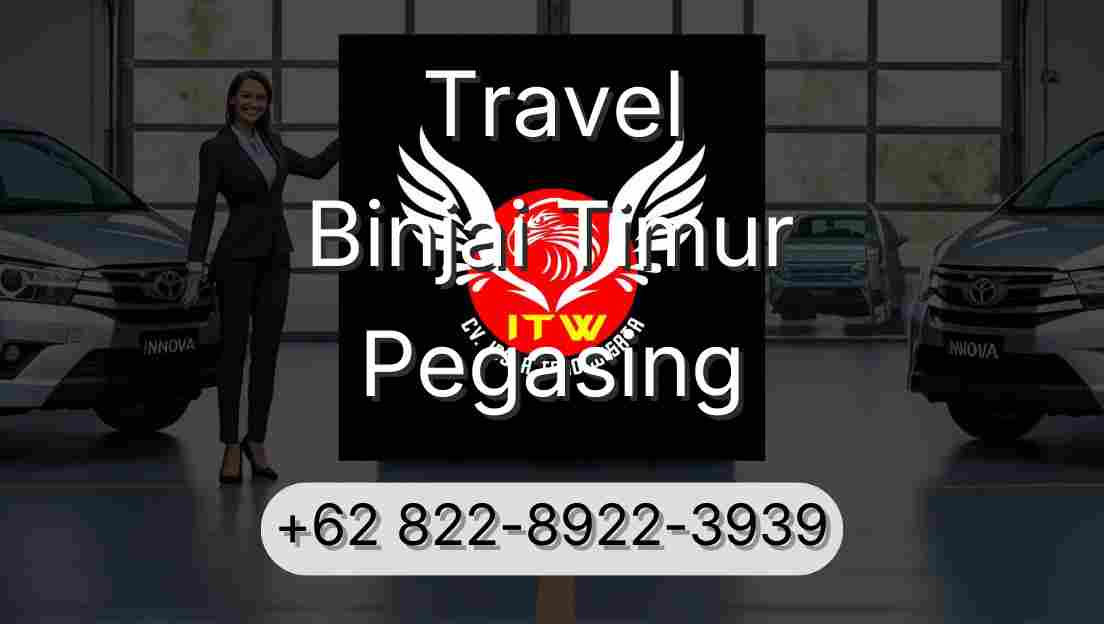 Travel Binjai Timur Pegasing