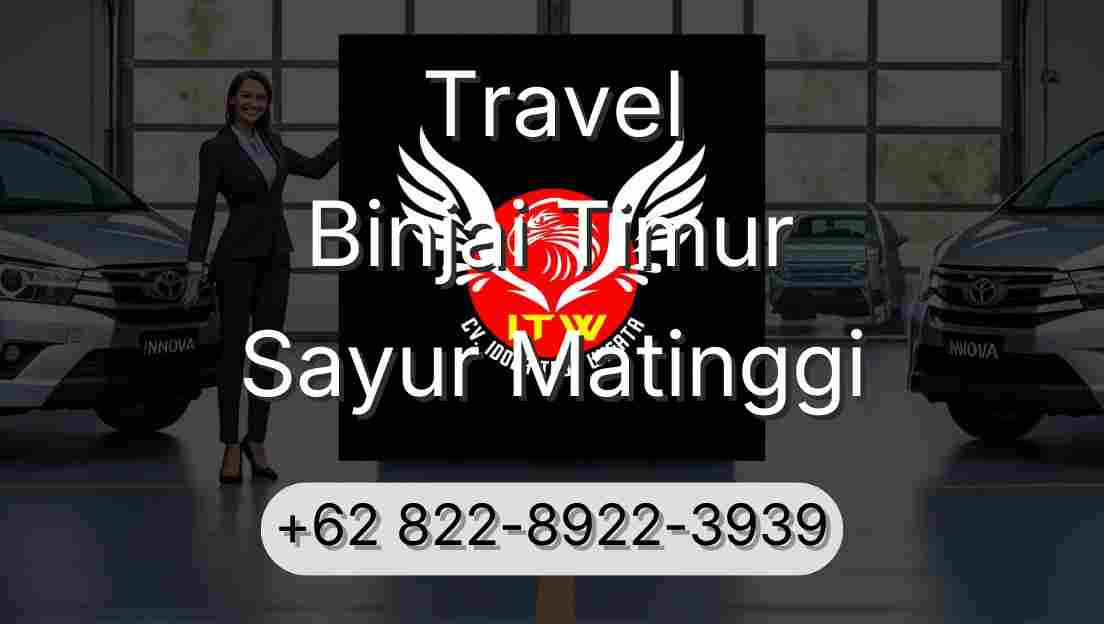 Travel Binjai Timur Sayur Matinggi