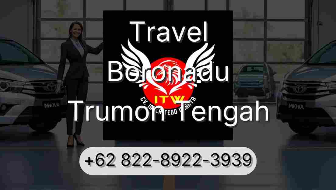 Travel Boronadu Trumon Tengah