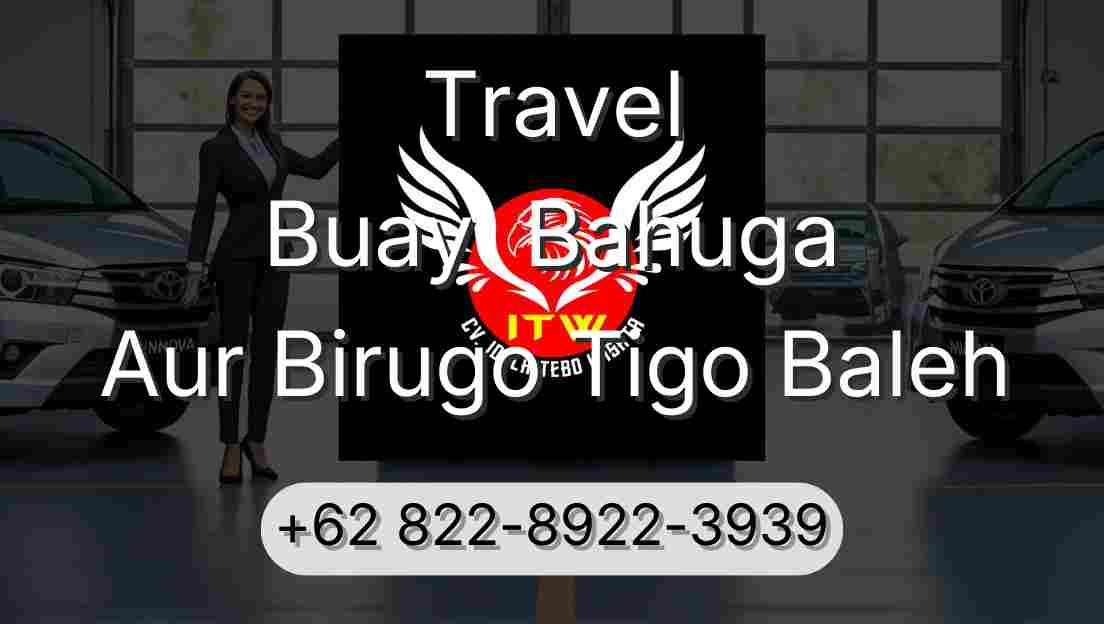 Travel Buay  Bahuga Aur Birugo Tigo Baleh