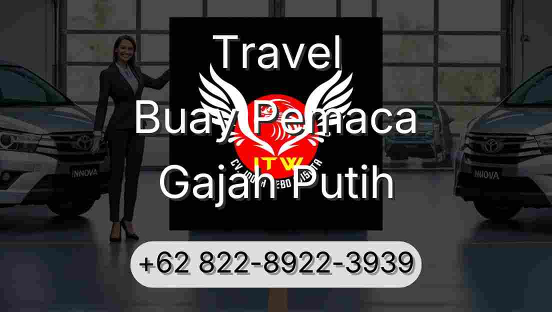 Travel Buay Pemaca Gajah Putih