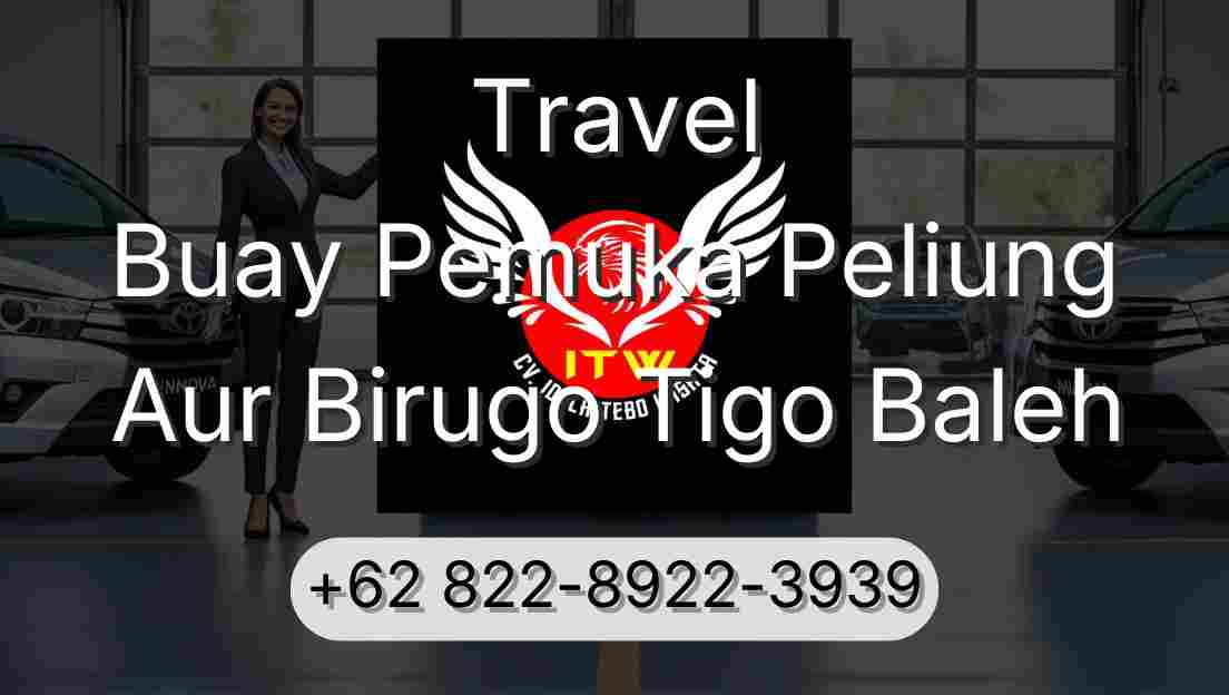 Travel Buay Pemuka Peliung Aur Birugo Tigo Baleh