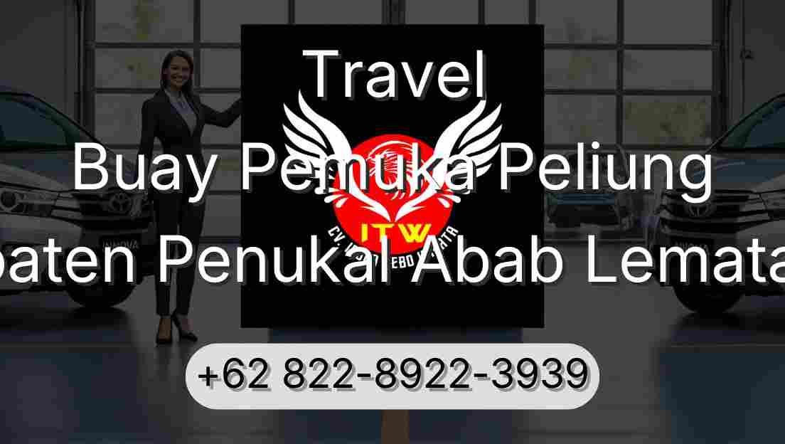 Travel Buay Pemuka Peliung Kabupaten Penukal Abab Lematang Ilir