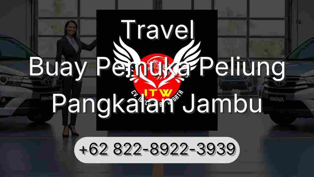 Travel Buay Pemuka Peliung Pangkalan Jambu