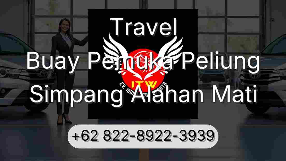 Travel Buay Pemuka Peliung Simpang Alahan Mati