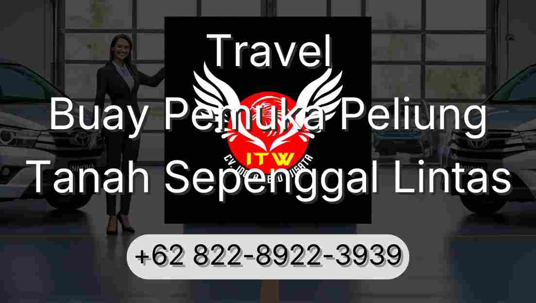 Travel Buay Pemuka Peliung Tanah Sepenggal Lintas