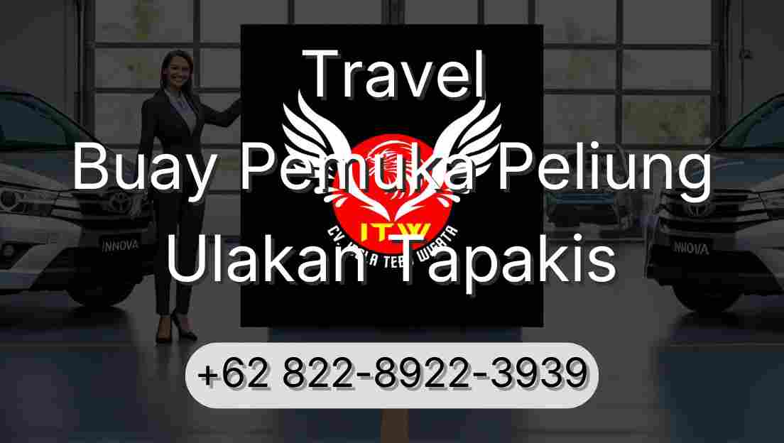 Travel Buay Pemuka Peliung Ulakan Tapakis