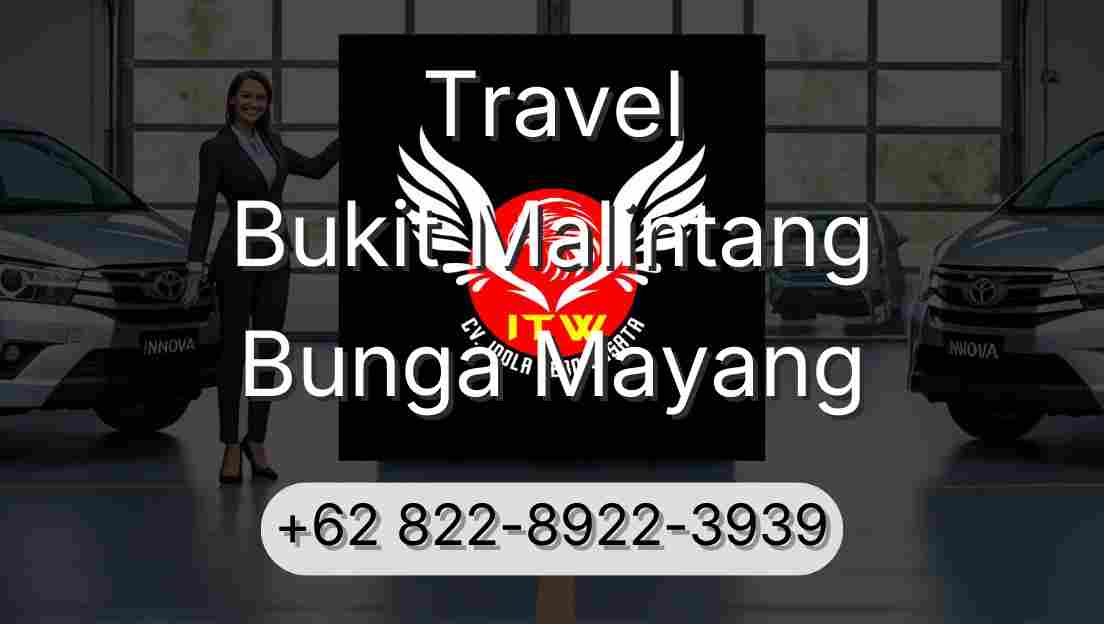 Travel Bukit Malintang Bunga Mayang