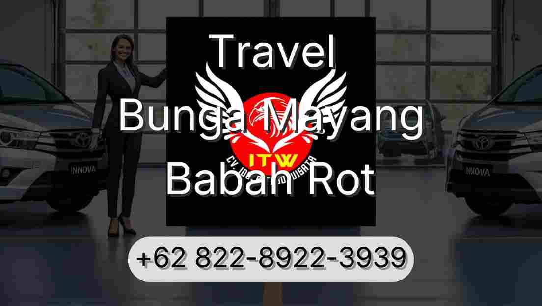 Travel Bunga Mayang Babah Rot
