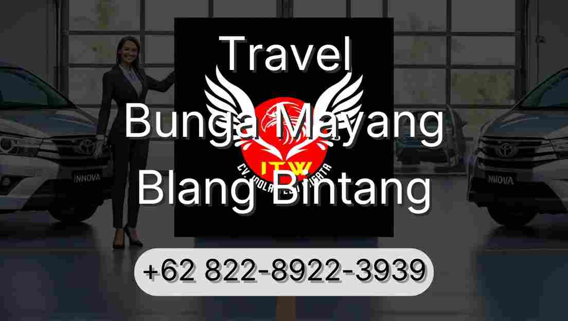 Travel Bunga Mayang Blang Bintang