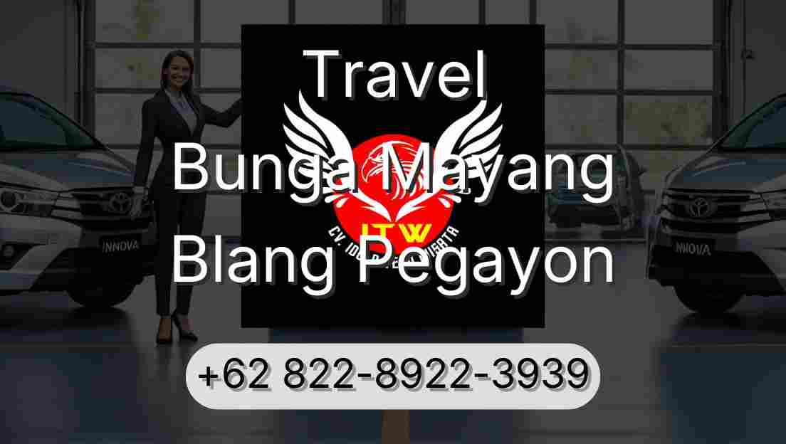 Travel Bunga Mayang Blang Pegayon