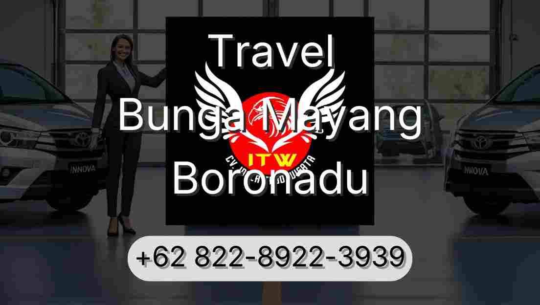 Travel Bunga Mayang Boronadu