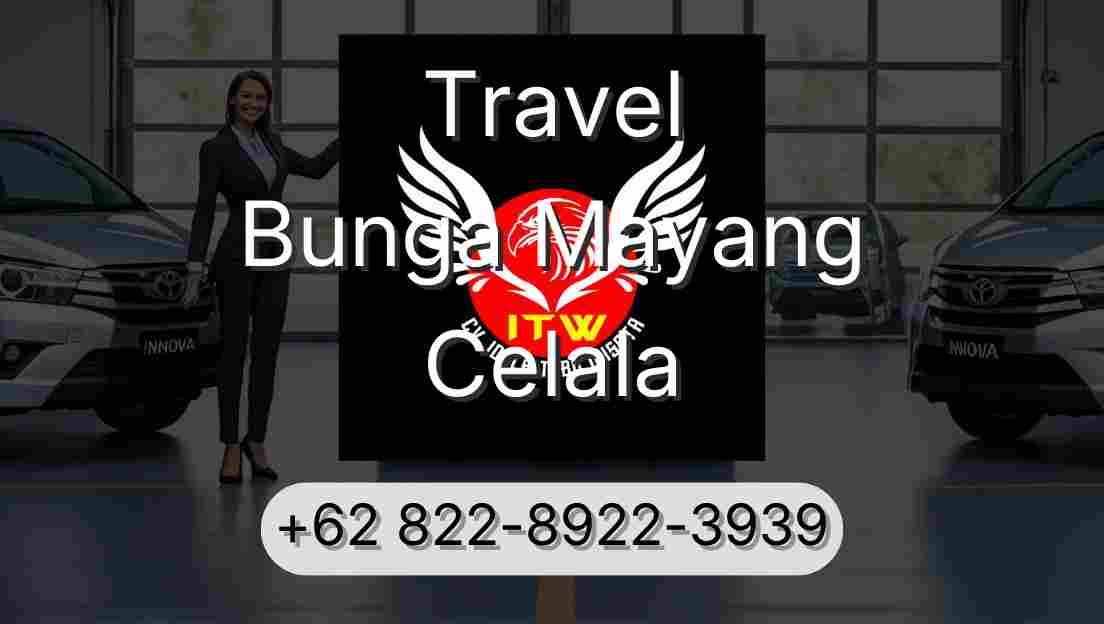 Travel Bunga Mayang Celala