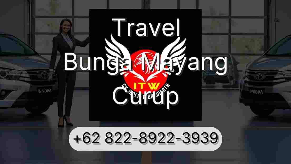 Travel Bunga Mayang Curup